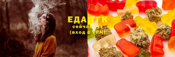 стаф Коряжма