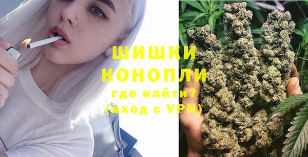 дживик Костерёво