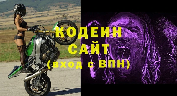 дживик Костерёво