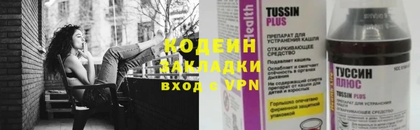 дживик Костерёво