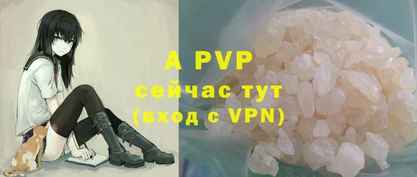 дживик Костерёво