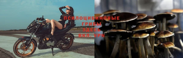 соль ск Корсаков
