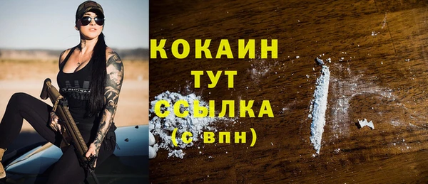 дживик Костерёво