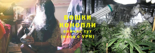 стаф Коряжма