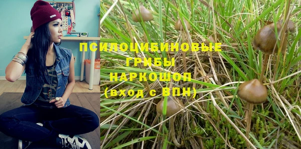 соль ск Корсаков