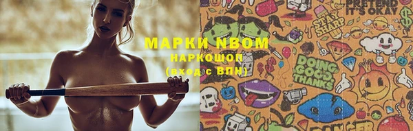 стаф Коряжма