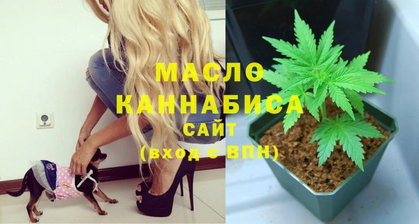стаф Коряжма