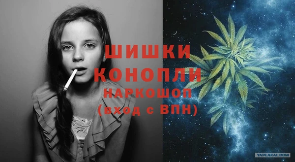 стаф Коряжма