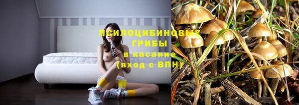 дживик Костерёво