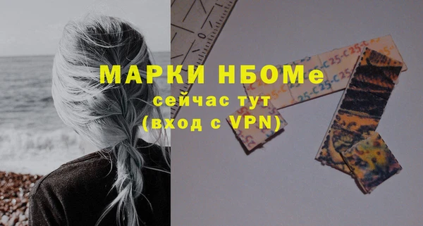 стаф Коряжма